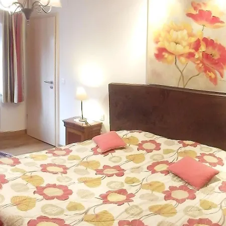 奥雷伊酒店 利克维