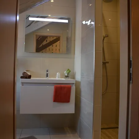 奥雷伊酒店 酒店 3*