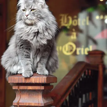 奥雷伊酒店 酒店